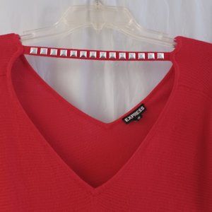 EXPRESS  LIGHTWEIGHT V-NECK SWEATER
